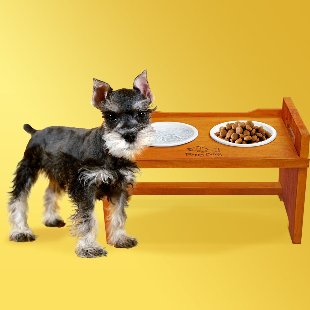 Tania Small Pet Feeding Bowl with Wood Stand